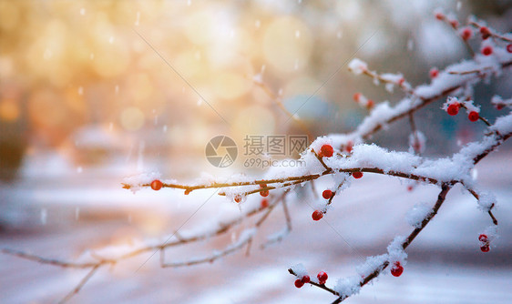 冬天风景图片