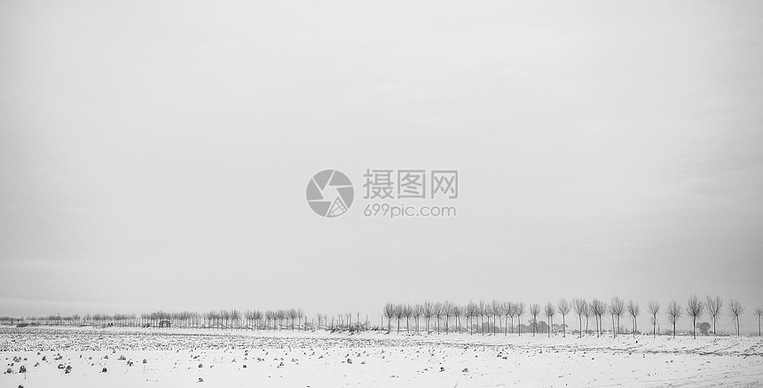 东北黑白简约雪景图片