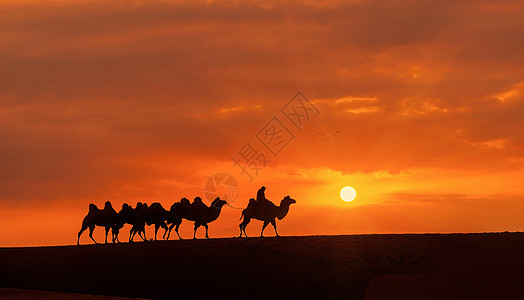 落日沙漠落日下的驼队背景