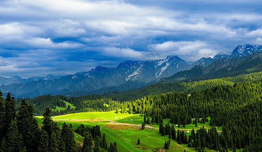 新疆天山下的草原唯美风景背景图片