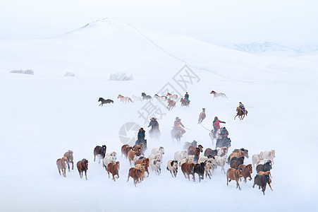 雪地上奔驰的骏马图图片