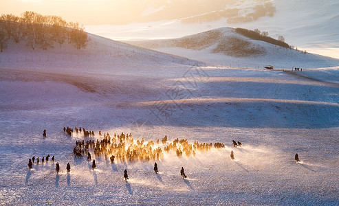 一大群马雪地上奔驰的骏马图背景