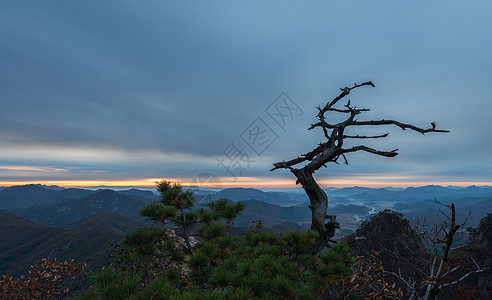 张家界天门山山顶日出风光图片