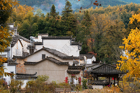 宏村徽派建筑安徽塔川秋色背景