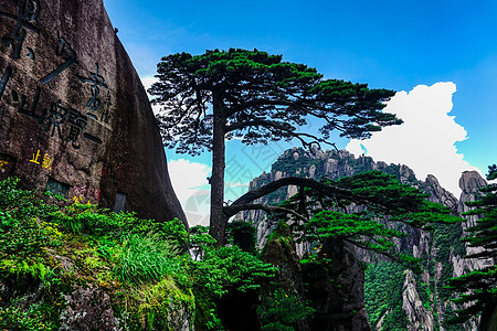 始信峰黄山旅游风景背景