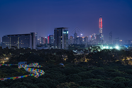 深圳香蜜公园夜景背景图片