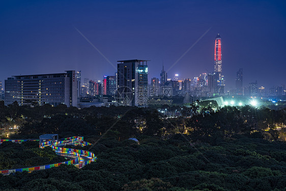 深圳香蜜公园夜景图片