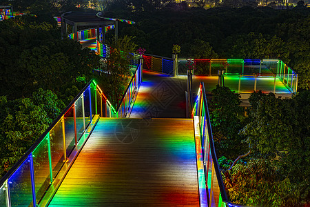 公园夜景深圳香蜜公园道路夜景背景