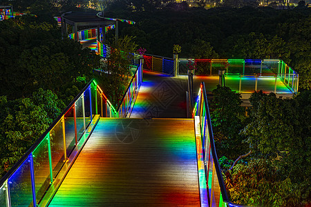 深圳香蜜公园道路夜景背景图片