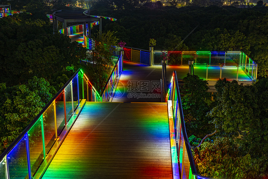 深圳香蜜公园道路夜景图片