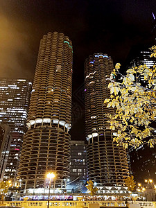 芝加哥箭牌大厦图片