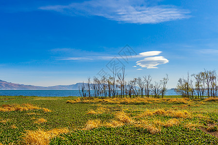 洱海日出美丽的云南洱海背景