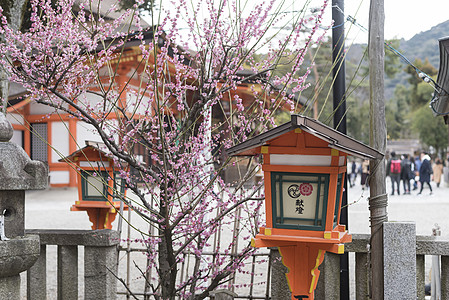 日本八坂神社日本京都八坂神社背景