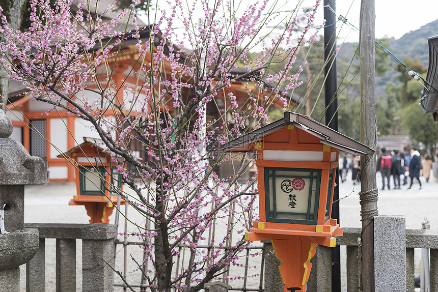 日本京都八坂神社图片