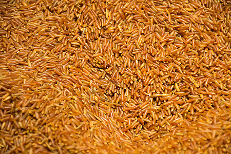 食材采购置办年货红米背景