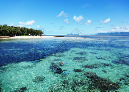 游泳海澳洲凯恩斯大堡礁背景