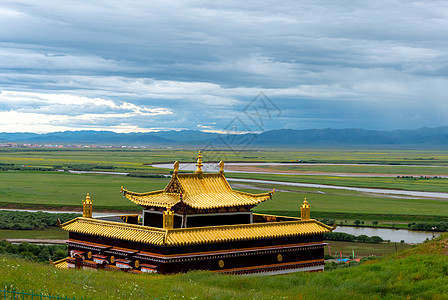 黄色稻田甘南合作米拉日巴佛阁寺风光背景