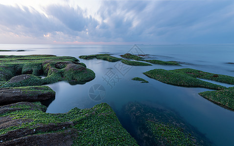 海岸风光海菜赶海高清图片