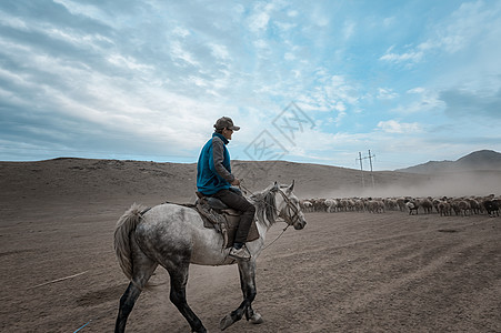 新疆牧羊人图片
