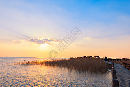 人水和谐上海崇明西沙湿地落日背景