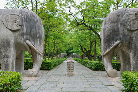 南京明孝陵古道图片