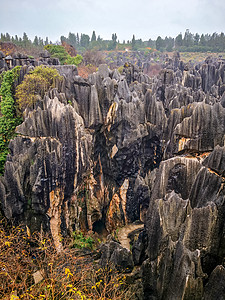 云南昆明石林风景区背景