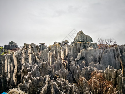 云南昆明石林风景区背景