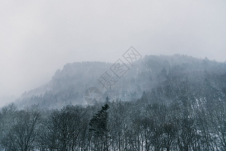 日本北海道层云峡雪景图片