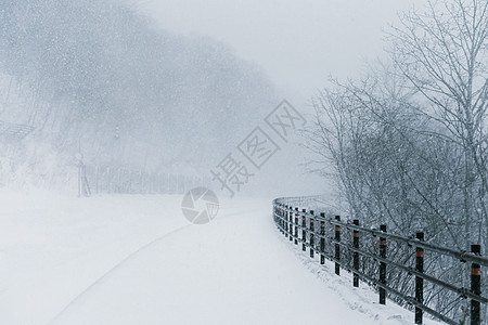 日本北海道层云峡雪景图片