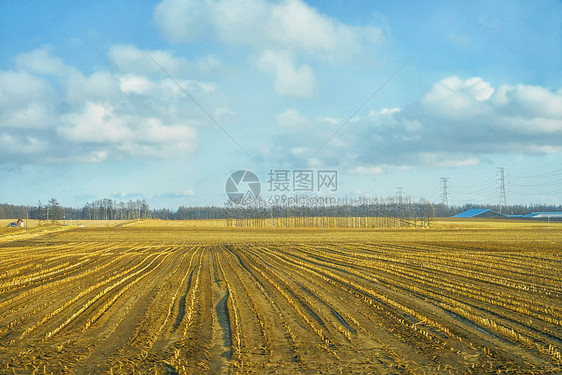 日本北海道十胜农场图片