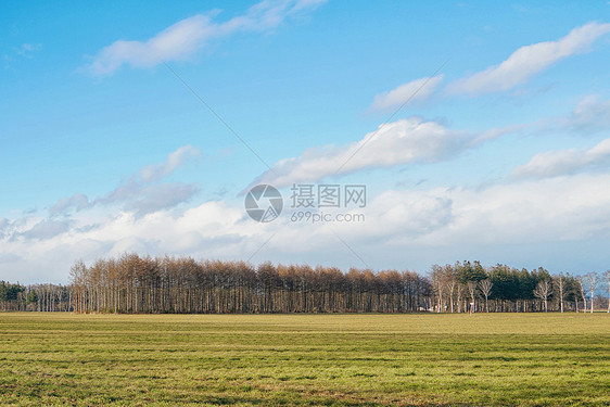 日本北海道十胜农场图片