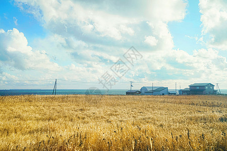 北海道秋景田园风光图片