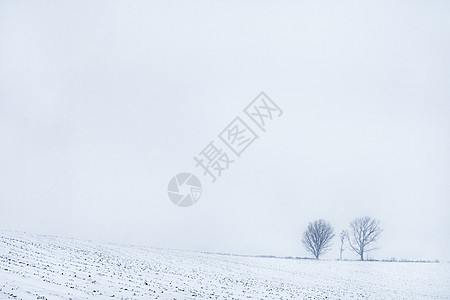 北海道滑雪北海道冬天田野唯美风光背景