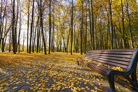白俄罗斯的秋秋景高清图片素材