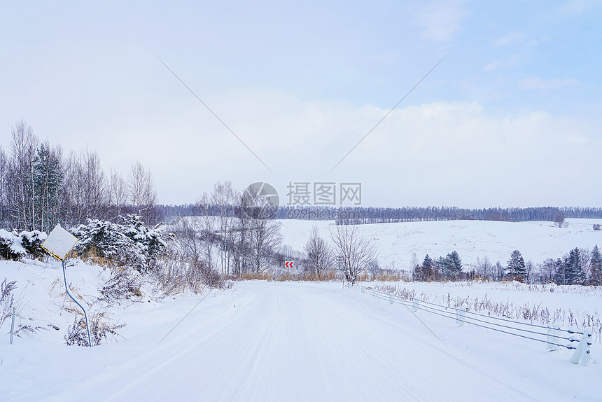 日本北海道富良野雪景图片