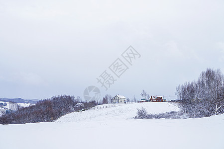 日本北海道富良野雪景图片