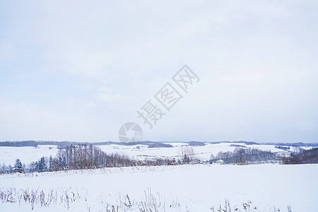 日本北海道富良野雪景图片