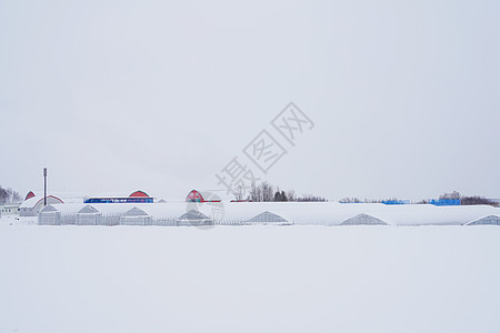 日本北海道富良野雪景高清图片