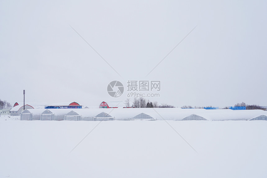 日本北海道富良野雪景图片