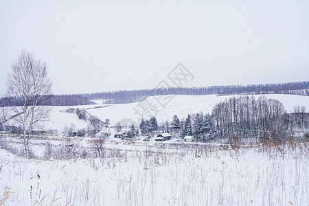 日本北海道富良野雪景图片