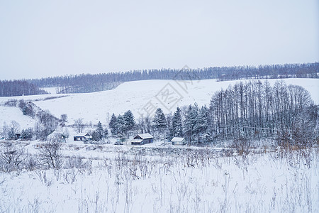 日本北海道富良野雪景图片