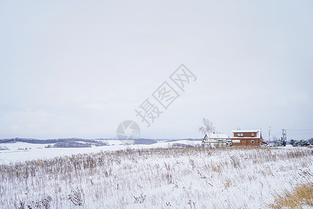 日本北海道雪景日本北海道富良野四季彩丘背景