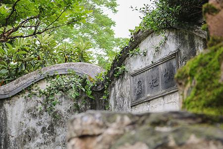 江苏苏州拙政园风景苏州拙政园小景背景