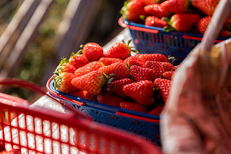 新鲜草莓健康红草莓高清图片