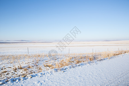 呼伦贝尔蒙古包冬季内蒙古呼伦贝尔平原风光背景