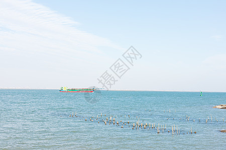 夏日风景海上货轮背景