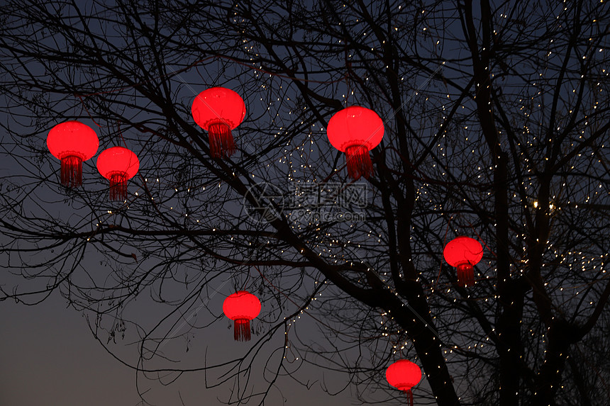 夜晚树上的红灯笼图片