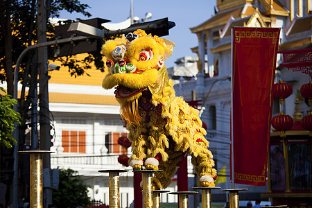 采青新年舞狮背景