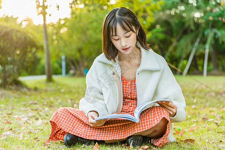 文艺女性草坪阅读高清图片