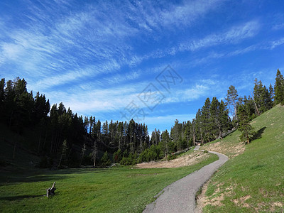 包车游美国黄石国家公园风景背景